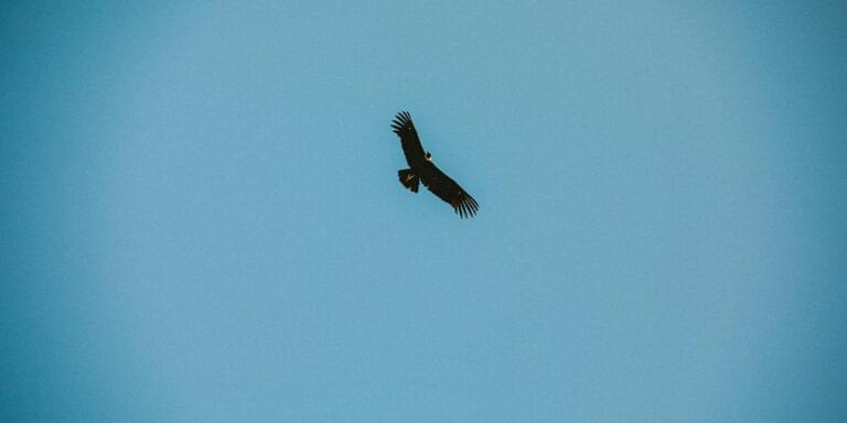 quebrada del condorito